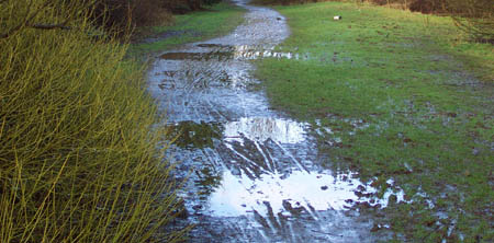 Muddy Transpennine Trail, Heaton Mersey